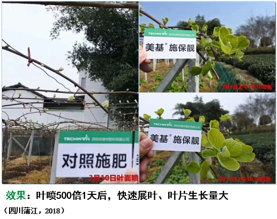 三生物刺激素复合产品来袭！氨基酸+甲壳素+微生物分泌物，抗逆又营养