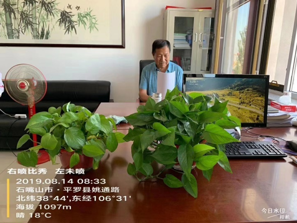 三生物刺激素复合产品来袭！氨基酸+甲壳素+微生物分泌物，抗逆又营养