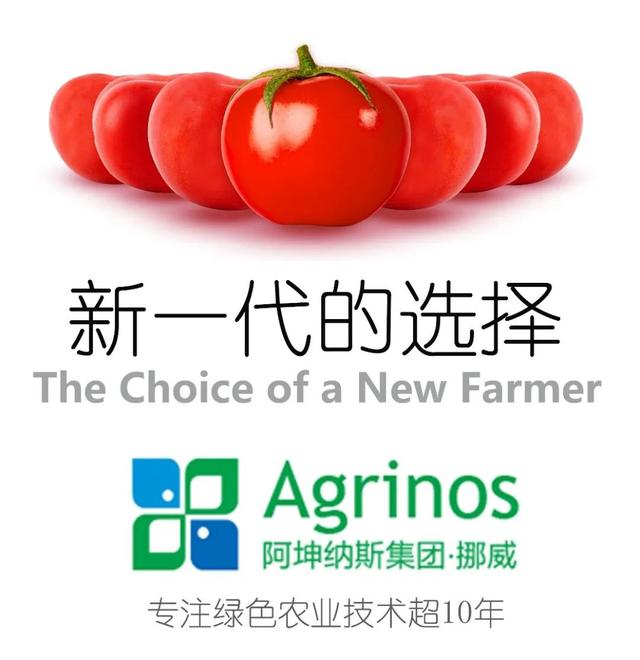 三生物刺激素复合产品来袭！氨基酸+甲壳素+微生物分泌物，抗逆又营养