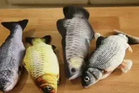 【反诈提醒】电动仿真鱼走红后，澄海竟有人利用它牟取不义之财......图片