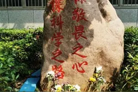 世界实验动物日：请向这些特殊的小生灵致敬图片