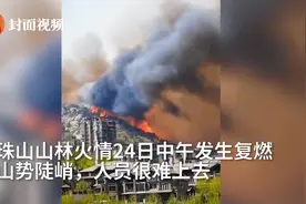 青岛通报小珠山火情：正全力扑救，暂无人员伤亡视频封面