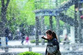 再见吧，鼻炎君图片