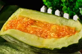 第一批甜瓜上市！“网红瓜王”羊角蜜，闻着香，咬着脆，甜到醉图片