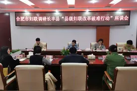 合肥市妇联主席宣丽玲赴长丰县调研“县级妇联改革破难行动”图片