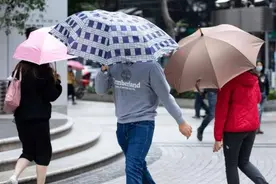 广州入夏了？是的！虽然今天“冷冷的冰雨在脸上胡乱地拍”图片