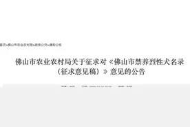 秋田犬、阿拉斯加等33种犬！佛山市禁养烈性犬名录征求意见中图片