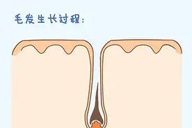 孩子剃光头更凉快？头发更浓密？原来我们被骗了好多年图片