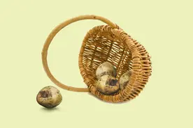 科学原理一点通：蔬菜发芽后还能吃吗？图片