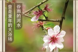 农历中国 | 四月初三 · 桃花浴图片