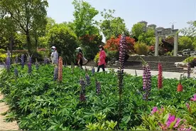 取消免费！4月28日起武汉园博园正式开放，无人工售票图片