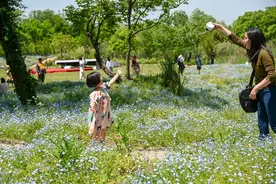 好消息！五一小长假 西溪湿地依旧免门票图片