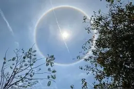 自带光环的成都！你今天拍到了吗？图片