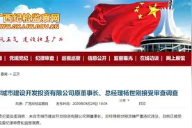 来宾市城市建设开发投资有限公司原董事长杨世刚被查，已退休6年图片