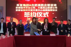 禾富集团旗下两家公司将于省股权交易中心挂牌，回乡创业打造“大墅龙山梦”图片