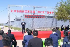 马伸桥蓝莓采摘季，怎能“莓”有你！图片