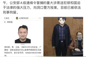 湖南这名公安部A级通缉犯已投案自首！还有这些人也落网了图片