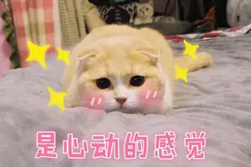 一大波白菜价机票来了！天津出发最低不过200元图片