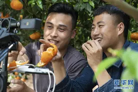 大学生“卖橘哥”直播助乡亲图片