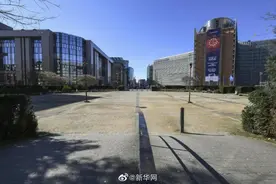吴文芳：疫情防控中欧盟个人信息保护的法律困境及其对策图片