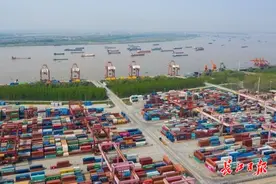 阳逻港、岱黄高速减免堆存费通行费5000余万元，武汉港发畅通复工复产“物流血脉”图片