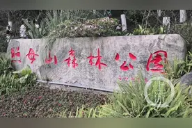 重庆掌故 | 照母山因何得名？或与南宋状元有关图片