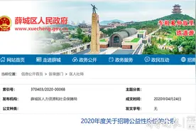 薛城区公益性岗位招聘19人！今起报名图片