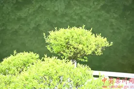 栾川：体验铁路风情 享受田园之乐图片
