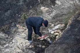 一个烟头就能引发一场山火！烟台公安侦破三起山林失火案图片