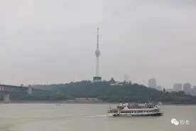 武汉复航故事：我离不开长江，也离不开轮渡图片