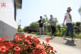 聆听一体“话”⑤丨好风景带来新经济 桃源渔歌美如画图片