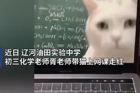 “别都看猫得听课啊！”化学老师抱猫上网课，火了图片