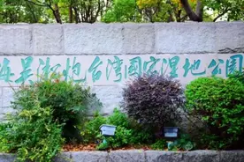 带你看宝山变化系列之——上海吴淞炮台湾国家湿地公园图片