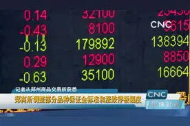 郑商所调整部分品种保证金标准和涨跌停板幅度视频封面