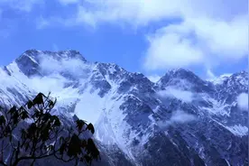 四月的白马王朗，雪花和野花，你更爱哪一个？图片