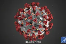 美国首例死亡病例尸检报告曝光：新冠肺炎引发心脏破裂图片