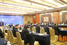 罍街要来了！阜阳阜合现代产业园打造“皖北小合肥”图片