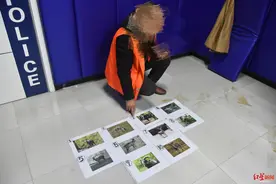 “野生动物保护”群竟然专门谋划猎杀珍稀动物 8名嫌疑人被起诉图片