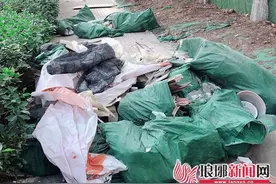 又有车辆路边偷倒建筑垃圾 临沂城管将顶格处罚图片