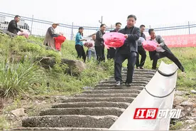临武县政协：投放鱼苗 助推水域生态改善图片