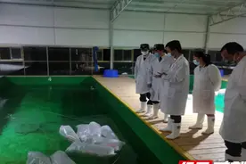 290尾日本进口锦鲤运抵长沙 将接受为期30天的隔离检疫图片