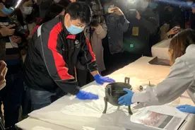 兵马俑上次到济南青岛，颠覆了山东人对博物馆的认知图片