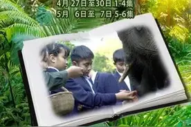 领队笑舒：“美丽的西双版纳里有说不完的故事，神秘的热带雨林令我‘惊心动魄’！”图片
