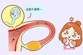 输卵管能多次频繁疏通吗？图片