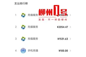 广西柳州一“熊孩子”刷走家长上万元救命钱充值游戏，还把付款信息全删了图片