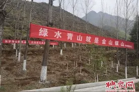 南阳市西峡县军马河镇：留住贫困山区的青山绿图片