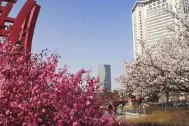 快去看，西宁这50个地方花开正艳…图片