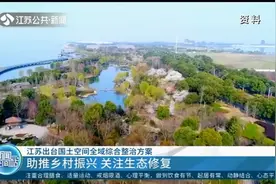 江苏出台国土空间全域综合整治方案，助推乡村振兴，关注生态修复视频封面