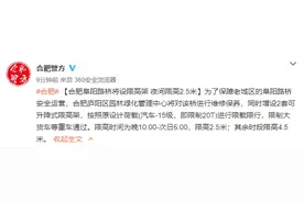 合肥阜阳路桥将设限高架 夜间限高2.5米图片