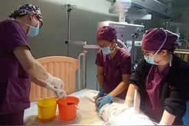 淄博一2岁儿童误服“灭鼠药”医生全力救治转危为安图片